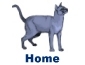 Return to Lost Pets of Western North Carolina home page